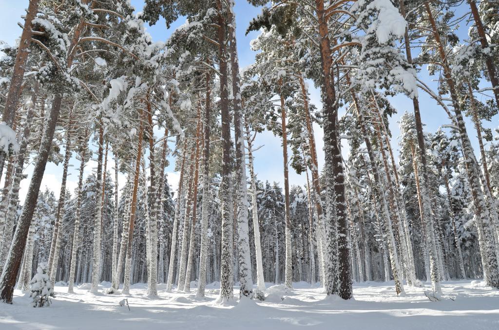 Residence Les Cimes Font-Romeu-Odeillo-Via 외부 사진